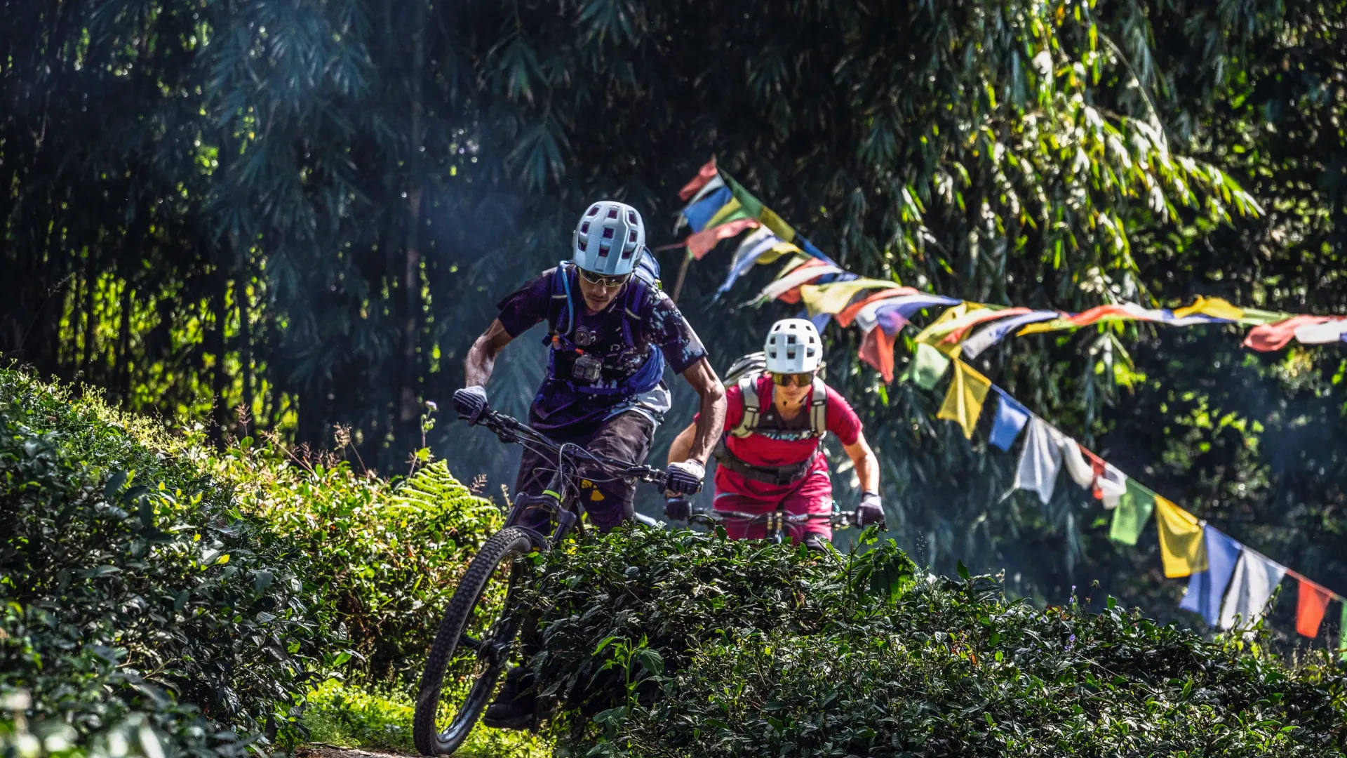 Mountain Biking in Darjeeling image 4