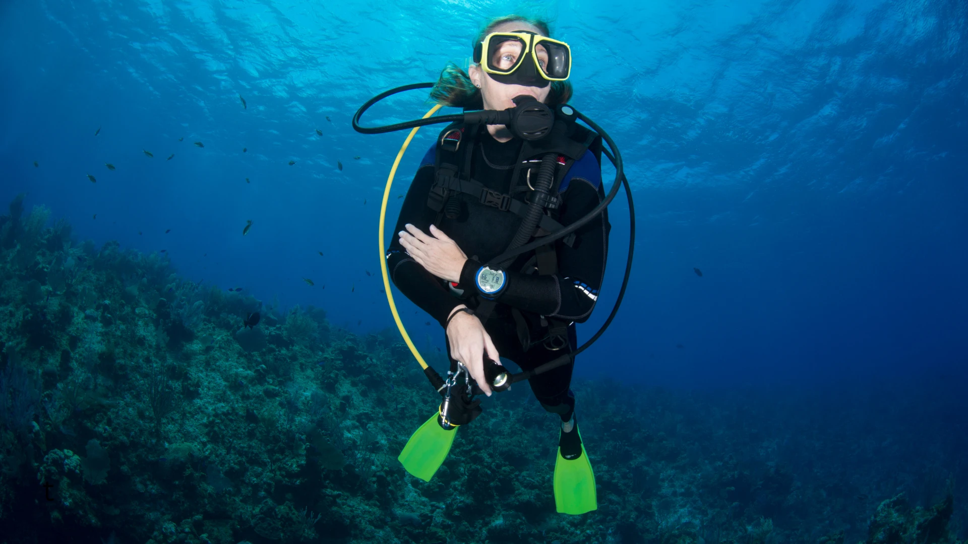 Scuba Diving in Goa image 2