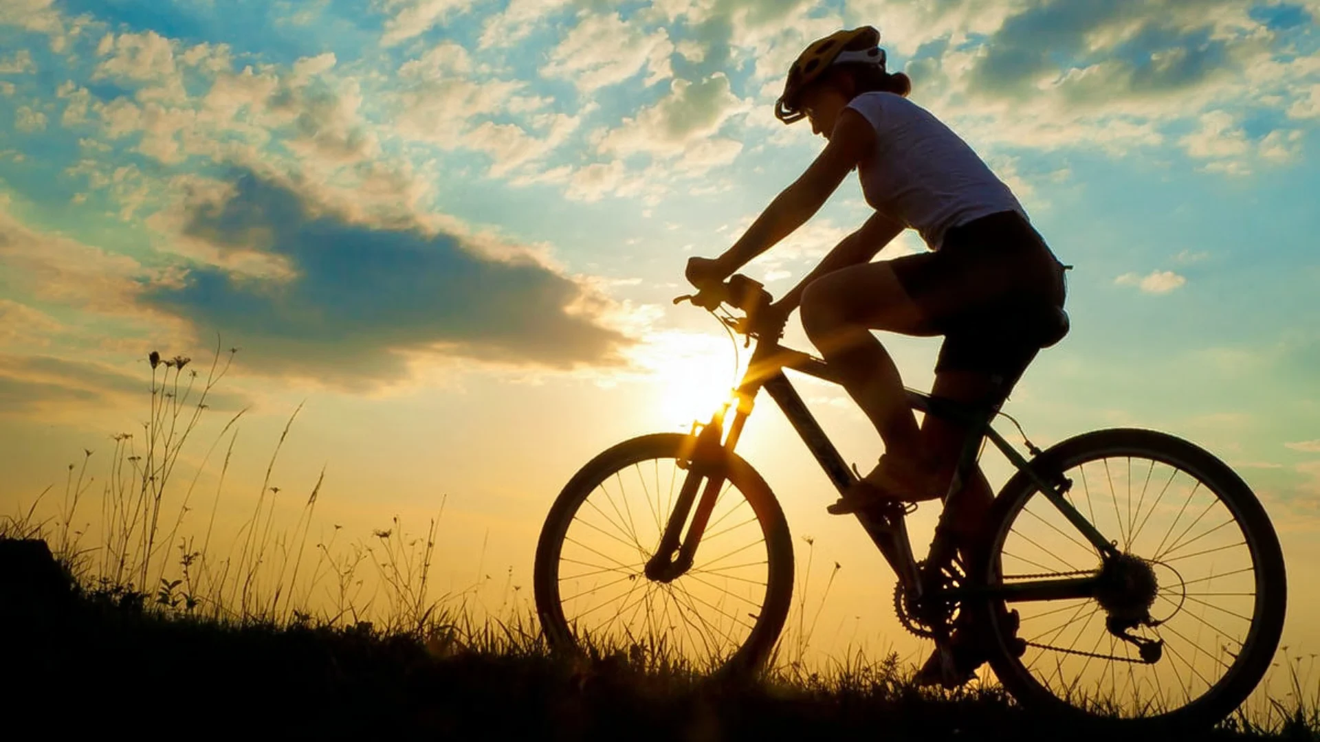 Cycling in Goa image 4