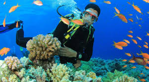 Scuba Diving in Andaman Nicobar
