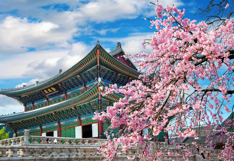 South Korea Packages
