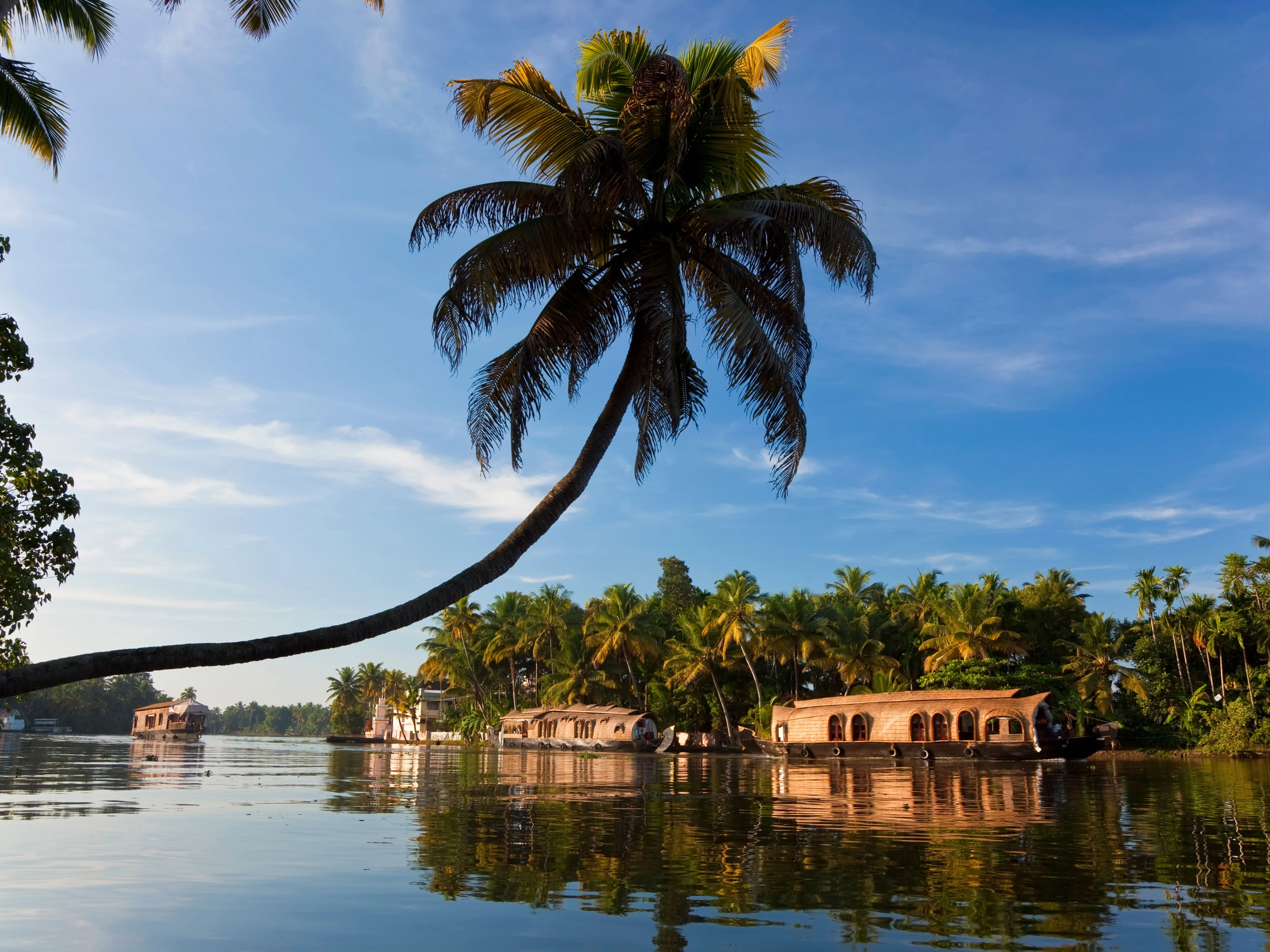 Kerala Bliss Tour