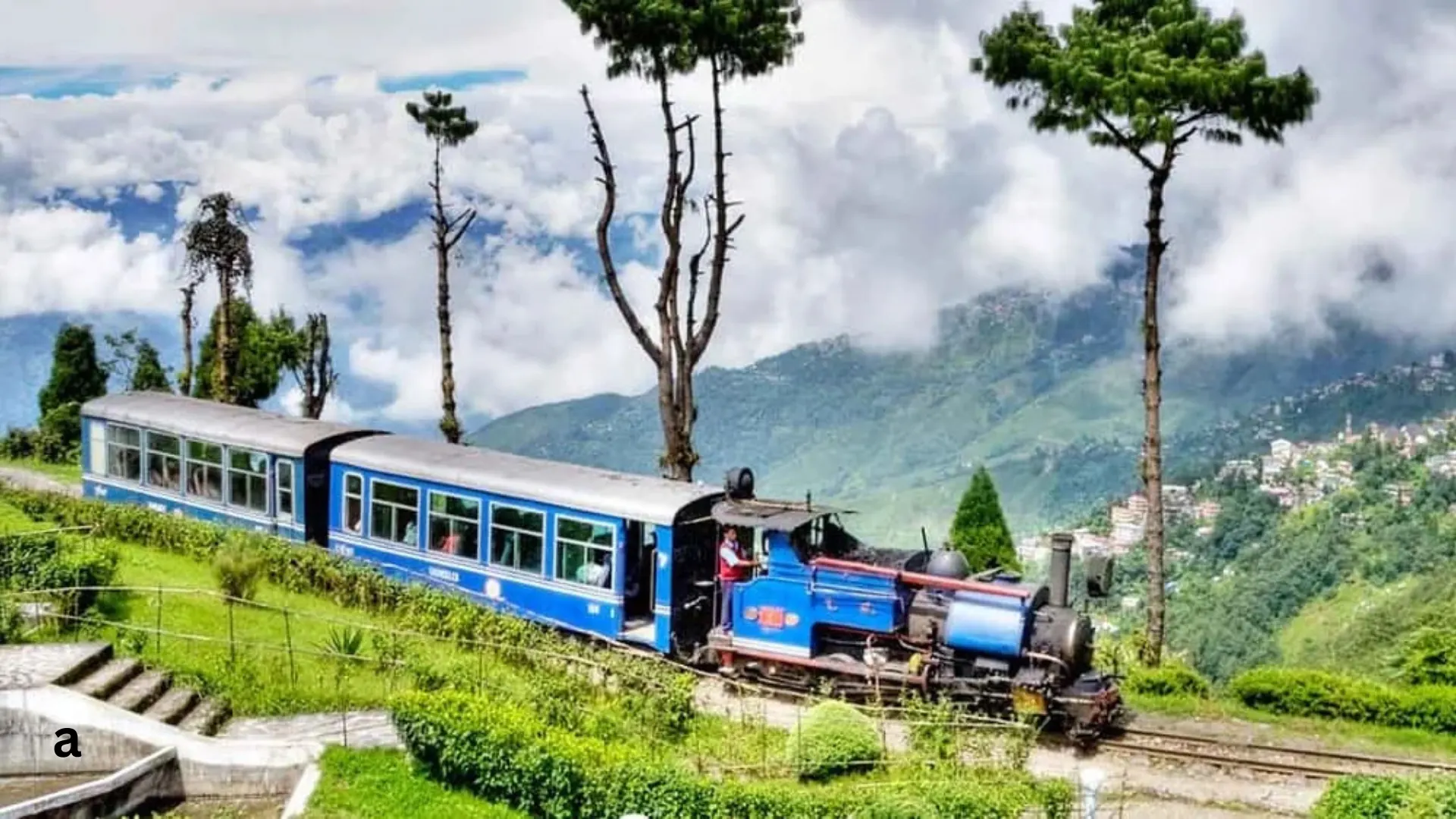 Darjeeling Luxury Escape