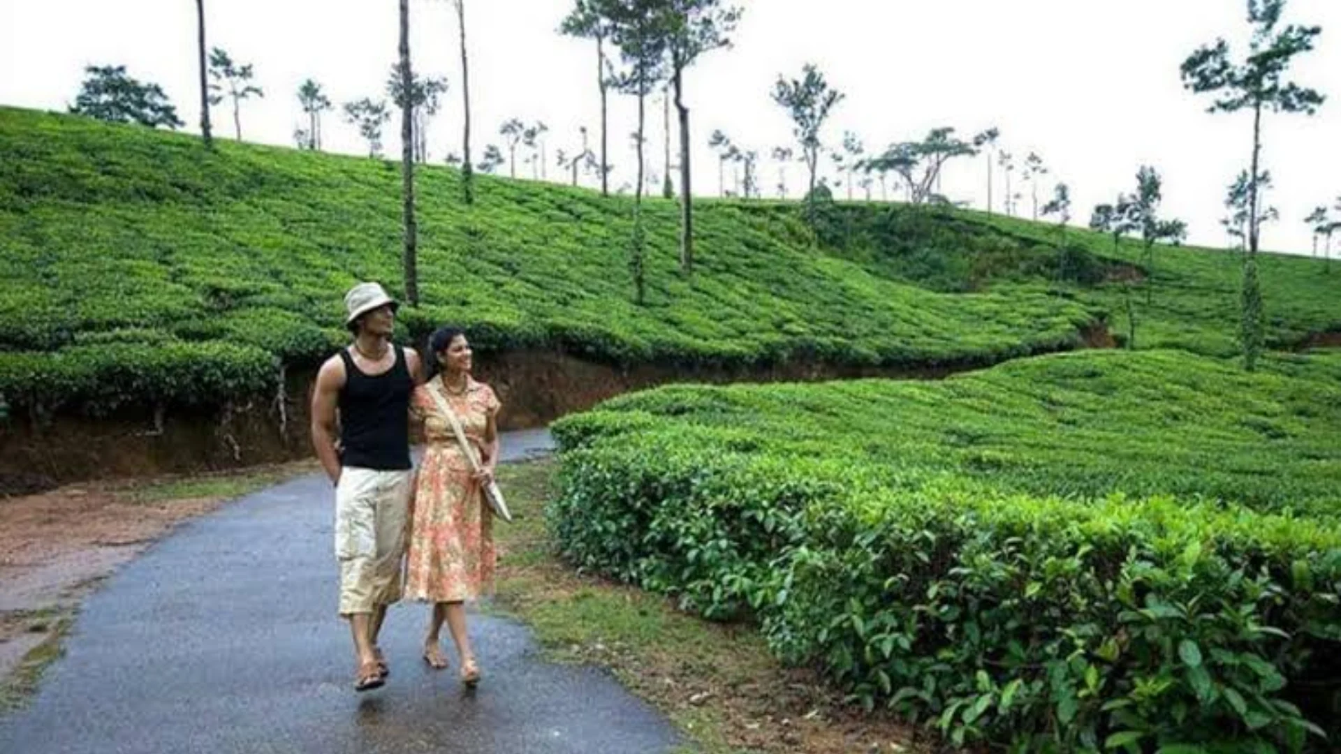 Ooty Couple Tour Package